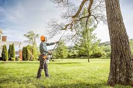 Best Weed Control  in Greenfield, IA